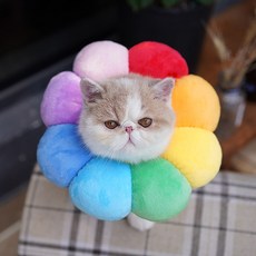 5fa59e235eebdc8cdfe1c1d7f4074c5cc6b15447680ac3aa9aae3d371cb1.jpg