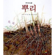 과학이가르쳐준것들