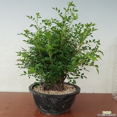 eaeba39f7fdd9eaa14c33860de55515484319f0fffa9acd1a134190a8118.jpg