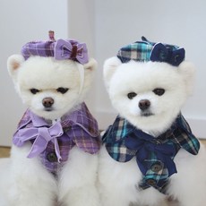 강아지버버리코트