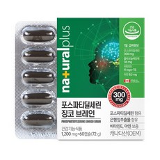 내츄럴플러스 포스파티딜세린 징코 브레인 1200mg 60캡슐, 60정, 1개