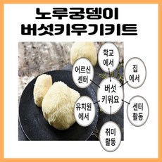 11월초 출고가능 노루궁뎅이 버섯키우기 6개묶음, 1세트, 6