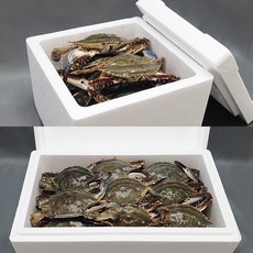 꽃게 수산물 전용 스티로폼박스 아이스박스 스치로폼박스 스치로폴박스 낱개 구매, 09. 워터 아이스팩 대형 X 1개 (16*23), 1개