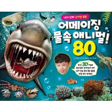 어메이징가습기v8카트리지