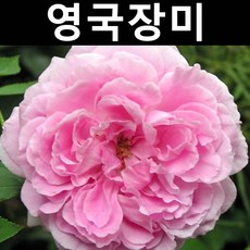 //상품명