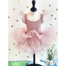 퓨어날개발레복