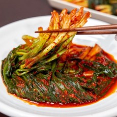 100% 국내산 전라도 파김치, 1kg, 1개