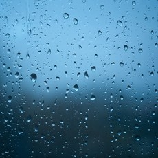 레인프레그런스오일