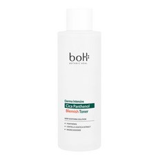 보타닉힐보 더마 인텐시브 시카 판테놀 블레미쉬 토너 250mL