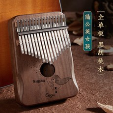 드럼할릴릿씨
