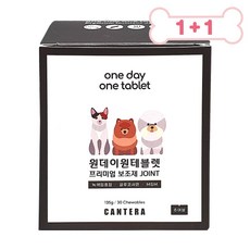 원데이원테블렛
