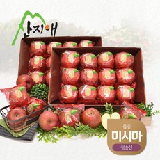 [산지애] 씻어나온 사과 6kg 20~28과 (3kg*2박스) / 미시마, 단품