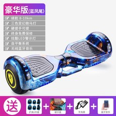 전동이륜평행차