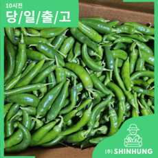 국내산 오이고추 아삭이고추 못난이 가정용 [신흥유통], 1개, 아삭이 고추 500g (가정용/못난이)