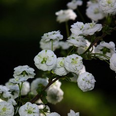 7dd914d69b137662c9d67679ae9df153a7ce2cde822565785fd9e923cd76.jpg