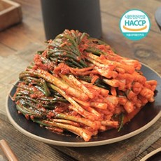 당일제조 국내산 100% 전라도 파김치 1kg, 1개