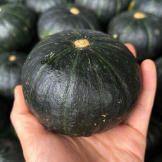 미식가이드 제주 미니 밤호박, 세척 못난이, 1개, 1.5kg