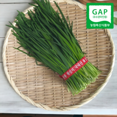 산지직송 당일작업 부추 특 충남햇부추 손질 노지 햇부추, 1개, 1kg