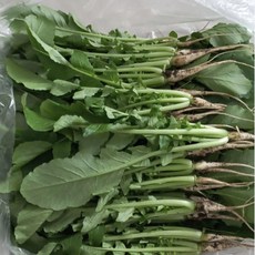 농장직송 싱싱하고 연한 어린 포천 열무, 1개, 6kg