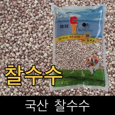 둘이 . 국산 . 찰수수 . 10kg . 2023년산 ., 1개