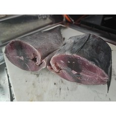 참다랑어 한마리 통째로. 혼마구로 블루핀튜나 Bluefin Tuna, 1개