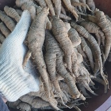 염장더덕