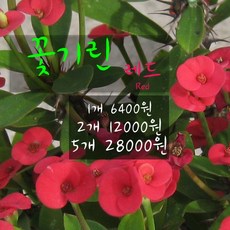 d61b6bfa0bd34ded630e7d5b2921e9bf0478e72a10ba2e9f96712c326163.jpg
