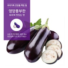 야과몰 우리가족 영양만점 보라색 맛있는 가지 특 상 30개 50개, 가지(상)