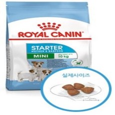 로얄캐닌 미니 스타터 마더앤 베이비독 1kg - 로얄캐닌미니스타터