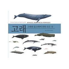 이노플리아 고래 고래와 돌고래에 관한 모든것, One color | One Size, 9791155501566