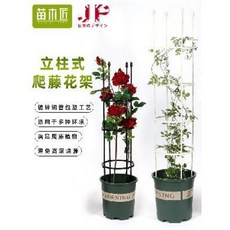 74f42aa88825dd279df2698e6c86fa458cd6f55e18af4f3a3a9d57bfcc23.jpeg