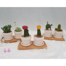 050220c53d79798450712667105e9e6fbe5419d7936d91d3e7c02ab04eb2.jpg
