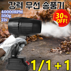 1/1+1 [독일] 무선 터빈 고출력 송풍기 리튬 산업용 고성능 무선 에어블로어 차량용 강력 송풍기 40000RPM, 1set