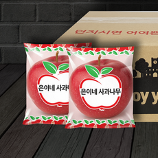 뜨라네사과