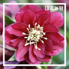 c96f30a66c0f1aa50255fd8de0591b84fc8f4a54e95fe110067e37b7bc5c.jpg