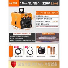 스팀해빙기 스팀해빙기노즐 배관 순간스팀해빙기 차량용 고압스팀해빙기, 1개