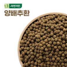 자연지인 양배추 환 200g 국산 건강환, 1개