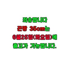 (100개 1묶음) 끈이 있는 망 네트망 수박 양파 사과 복숭아 매실망 옥수수 농작물 보호 새그물 애플수박