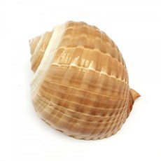 77dcb736bfe0cbf5a49a5f7c1f92e820ca17c95fd61ab6cf5c1da917ef01.jpg