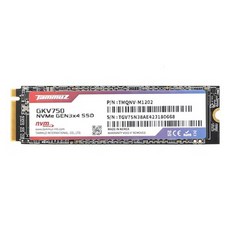 Tammuz GKV750 M.2 NVMe SSD 512GB, 단품