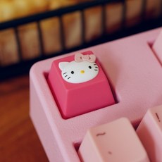 리얼포스키보드루프