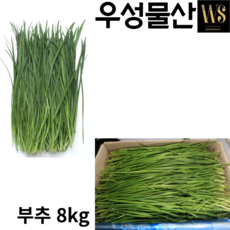 싱싱한 부추 4kg 8kg 2종, 부추4kg, 2개