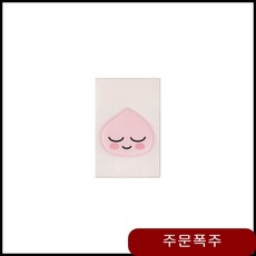 카카오 프렌즈 리틀 여권케이스 지갑 - 어피치 BT 펭