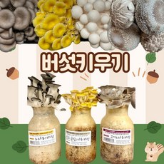 버섯키우기, 금빛+느타리+고기, 1세트