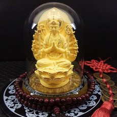 마스터기초의학