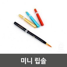 입술붓솔
