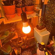 일루미모기퇴치램프