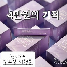 독소전쟁사1941~1945