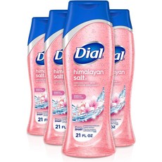 Dial Himalayan Salt Body Wash 다이얼 스킨 테라피 히말라야 솔트 21floz 621ml 4팩, 4개 - 크리드히말라야