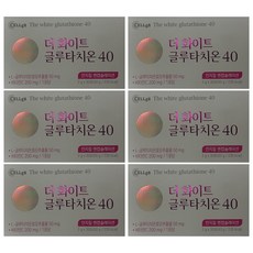 더화이트 글루타치온 40 2g x 30포 6박스, 60g, 6개